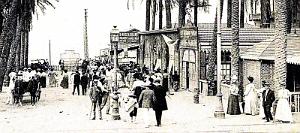 1947- Alger - Jardin d'essai - L'Oasis des Palmiers2